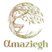 wa7et-siwa.com